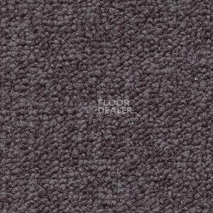 Ковролин Radici Trotter Fumo 9477 фото 1 | FLOORDEALER